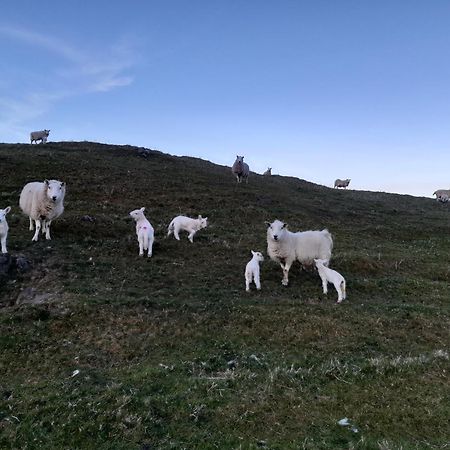 Skye Stays Staffin Kültér fotó